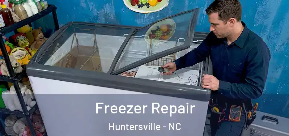  Freezer Repair Huntersville - NC