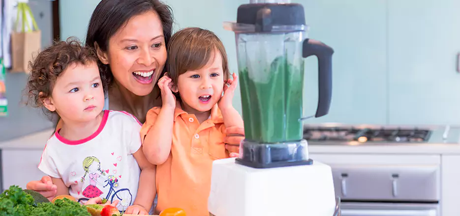 Juicer and Mixer Blender Repair in Huntersville 