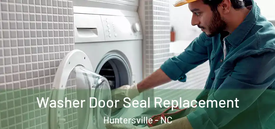  Washer Door Seal Replacement Huntersville - NC